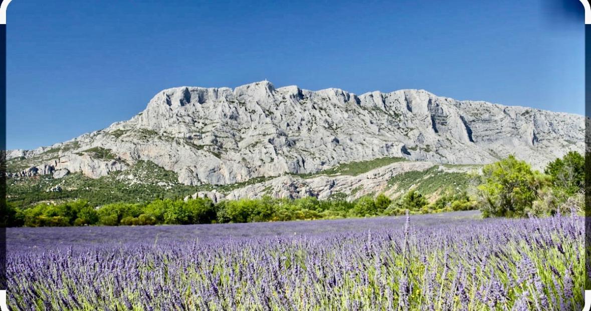 Charmant Studio Le Clos D'Aix Parking Prive Gratuit Et Piscine Aix-en-Provence Dış mekan fotoğraf
